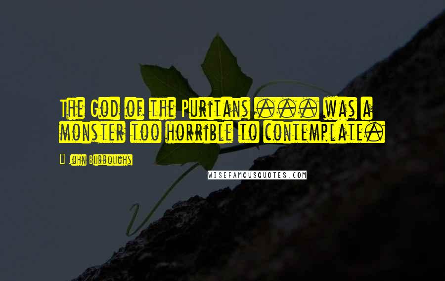 John Burroughs Quotes: The God of the Puritans ... was a monster too horrible to contemplate.