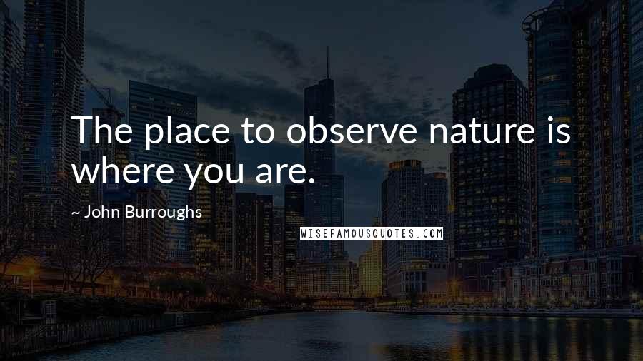 John Burroughs Quotes: The place to observe nature is where you are.