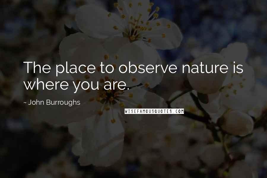 John Burroughs Quotes: The place to observe nature is where you are.