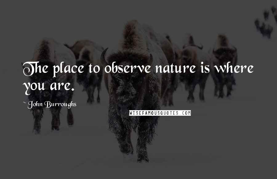 John Burroughs Quotes: The place to observe nature is where you are.