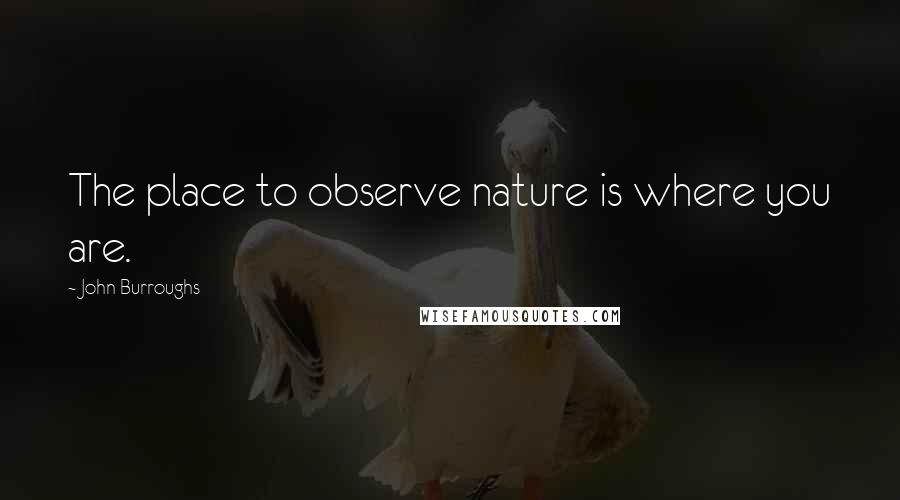 John Burroughs Quotes: The place to observe nature is where you are.