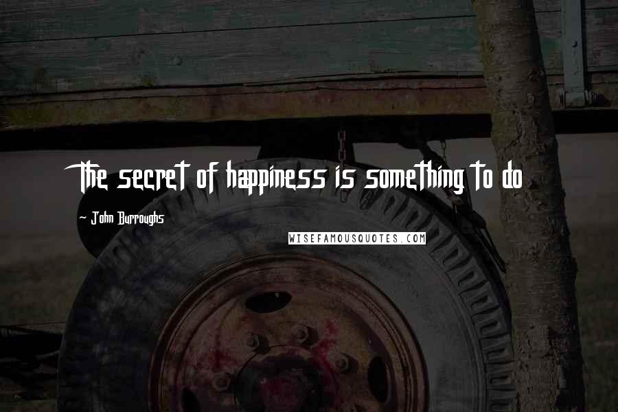 John Burroughs Quotes: The secret of happiness is something to do