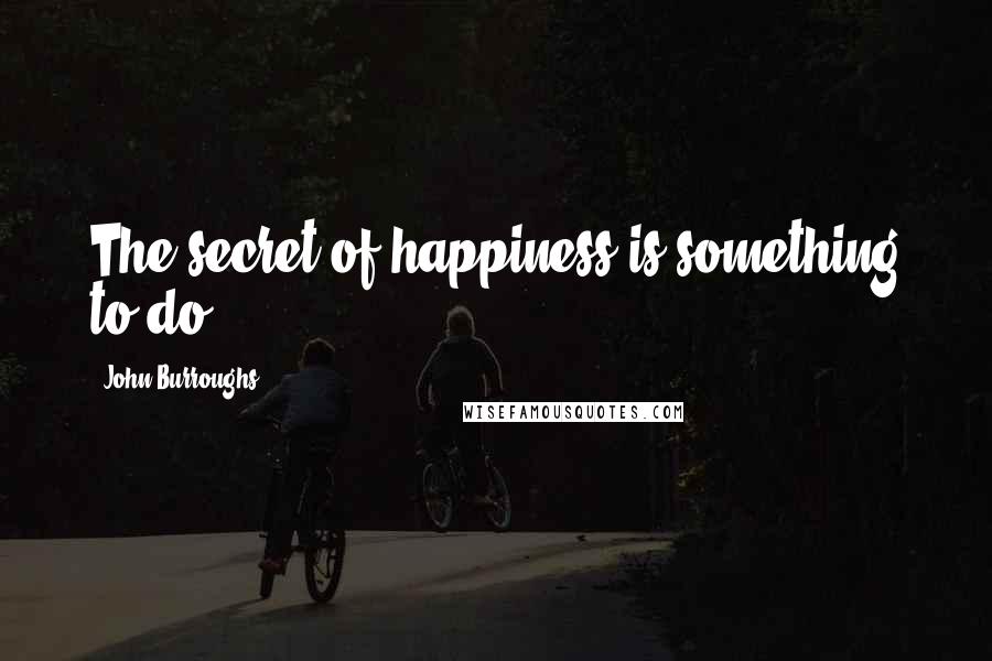 John Burroughs Quotes: The secret of happiness is something to do