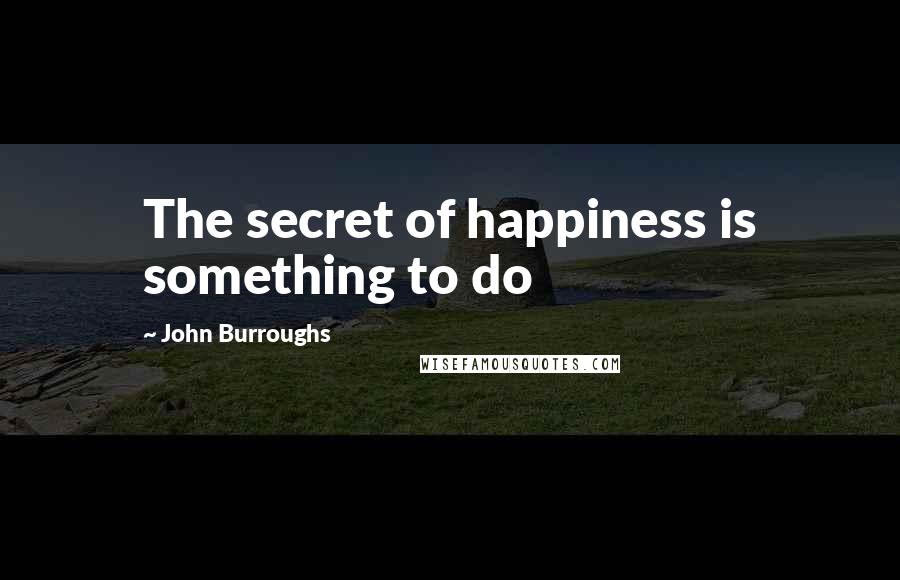 John Burroughs Quotes: The secret of happiness is something to do