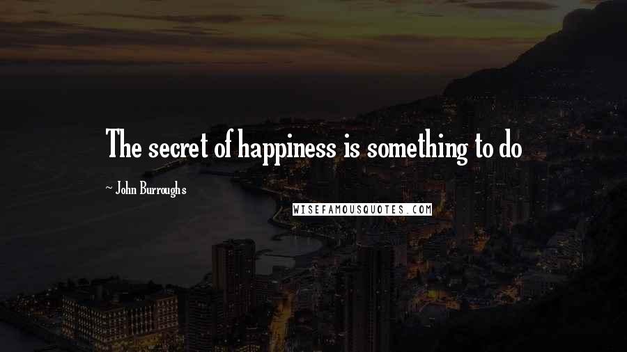 John Burroughs Quotes: The secret of happiness is something to do