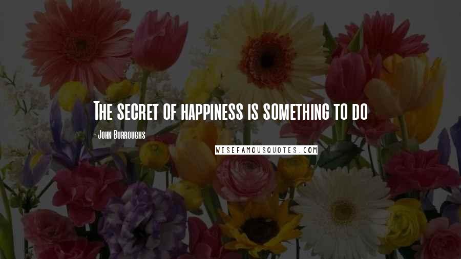 John Burroughs Quotes: The secret of happiness is something to do