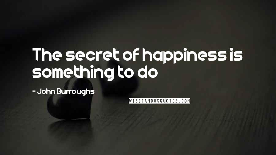 John Burroughs Quotes: The secret of happiness is something to do