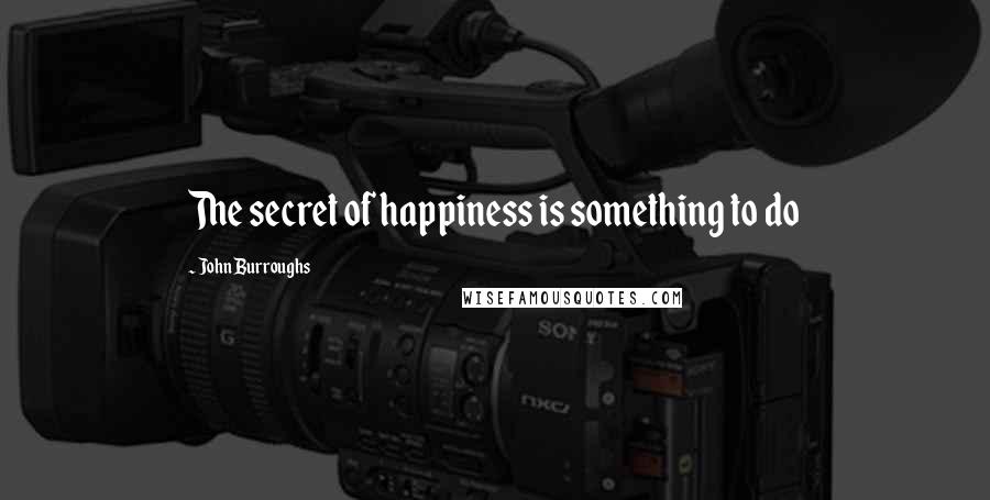 John Burroughs Quotes: The secret of happiness is something to do