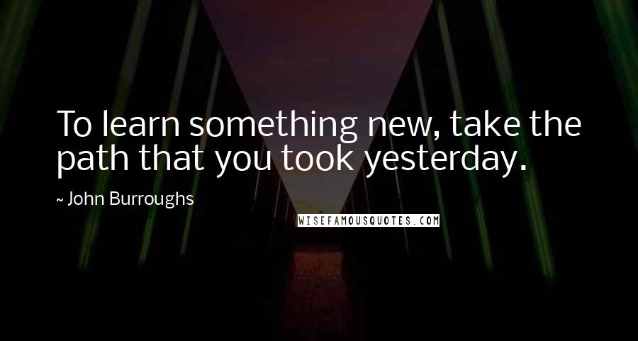 John Burroughs Quotes: To learn something new, take the path that you took yesterday.