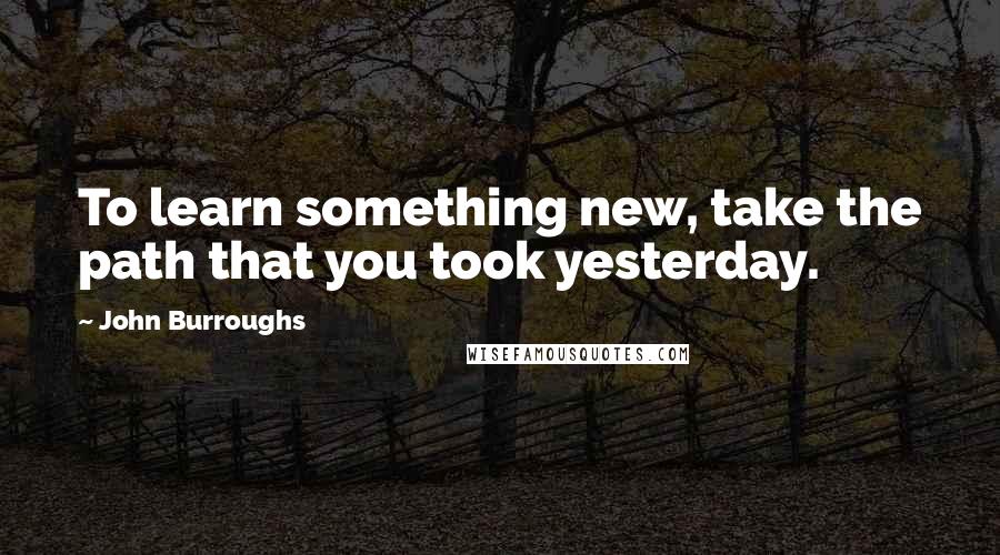 John Burroughs Quotes: To learn something new, take the path that you took yesterday.