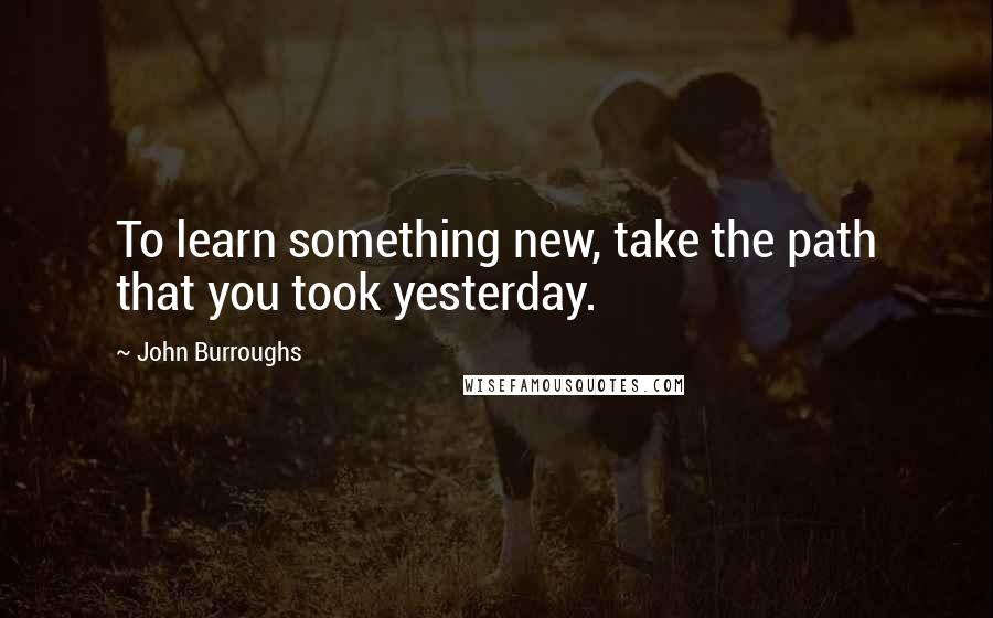 John Burroughs Quotes: To learn something new, take the path that you took yesterday.