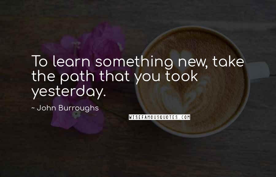 John Burroughs Quotes: To learn something new, take the path that you took yesterday.