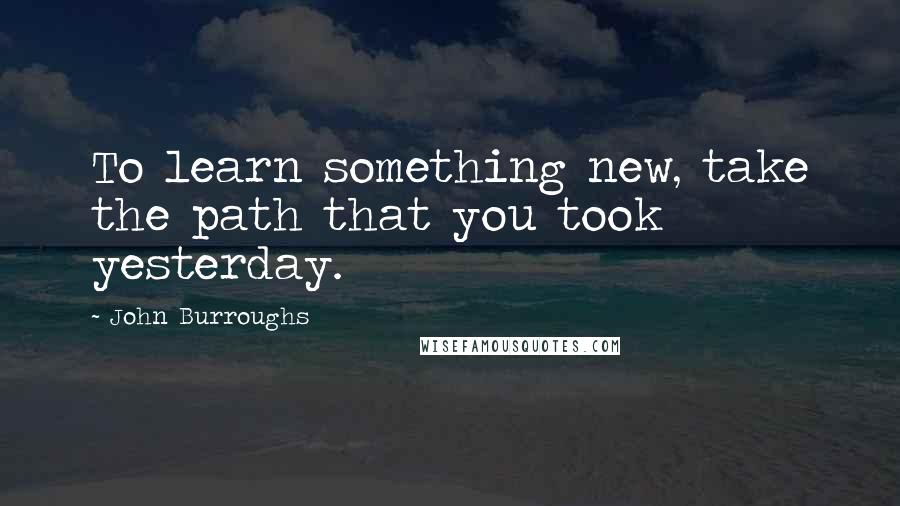 John Burroughs Quotes: To learn something new, take the path that you took yesterday.