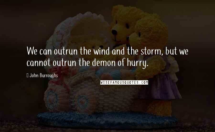 John Burroughs Quotes: We can outrun the wind and the storm, but we cannot outrun the demon of hurry.