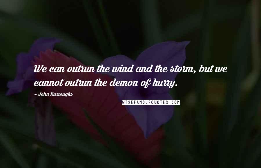 John Burroughs Quotes: We can outrun the wind and the storm, but we cannot outrun the demon of hurry.