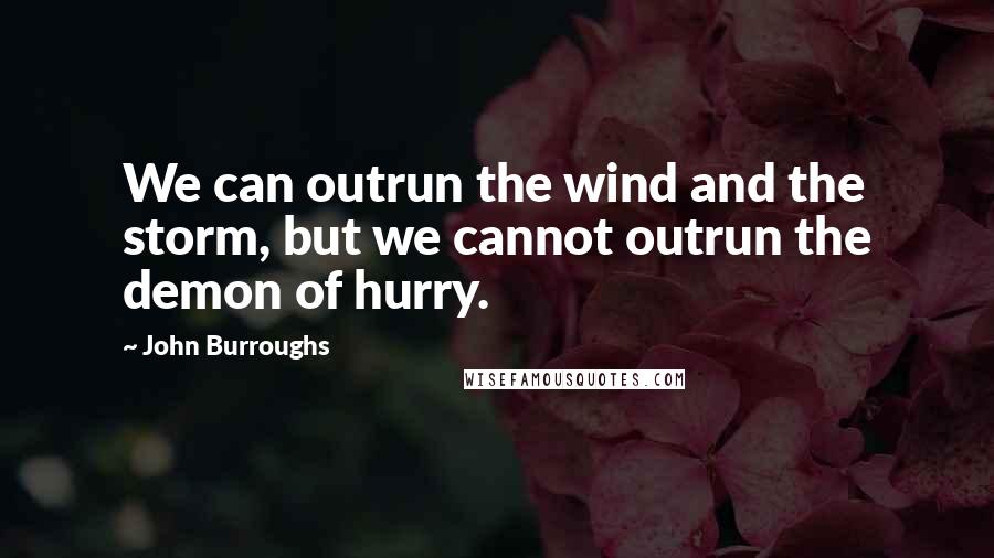 John Burroughs Quotes: We can outrun the wind and the storm, but we cannot outrun the demon of hurry.
