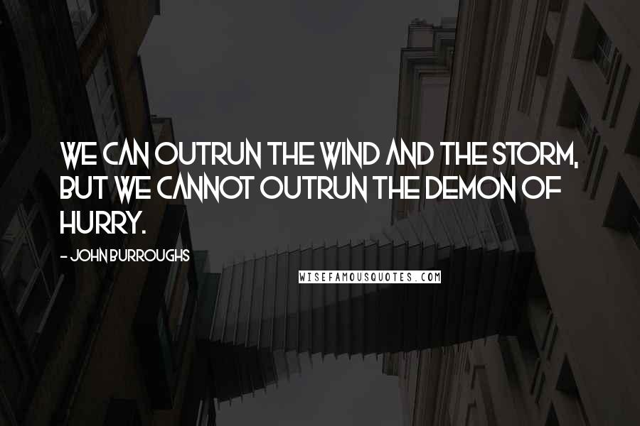 John Burroughs Quotes: We can outrun the wind and the storm, but we cannot outrun the demon of hurry.