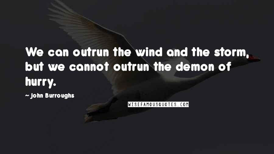 John Burroughs Quotes: We can outrun the wind and the storm, but we cannot outrun the demon of hurry.