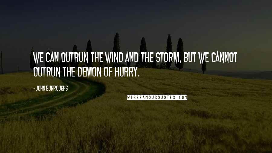 John Burroughs Quotes: We can outrun the wind and the storm, but we cannot outrun the demon of hurry.