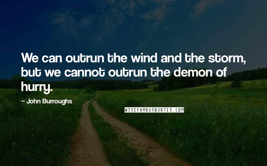 John Burroughs Quotes: We can outrun the wind and the storm, but we cannot outrun the demon of hurry.