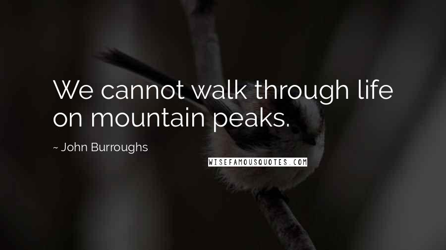 John Burroughs Quotes: We cannot walk through life on mountain peaks.