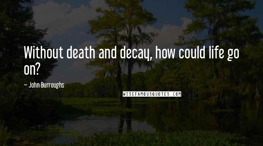 John Burroughs Quotes: Without death and decay, how could life go on?