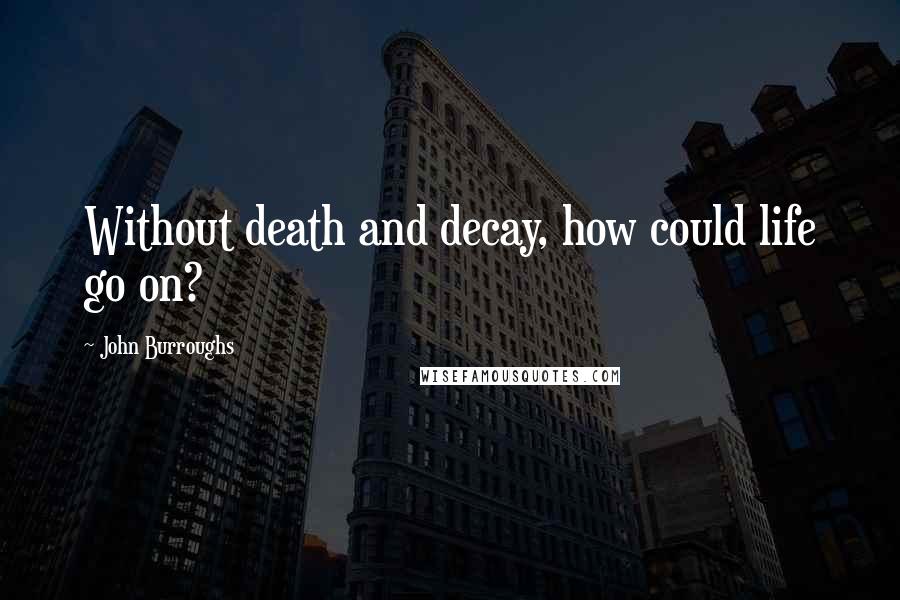 John Burroughs Quotes: Without death and decay, how could life go on?