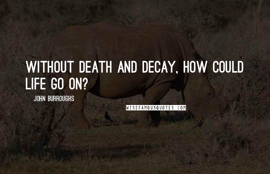 John Burroughs Quotes: Without death and decay, how could life go on?