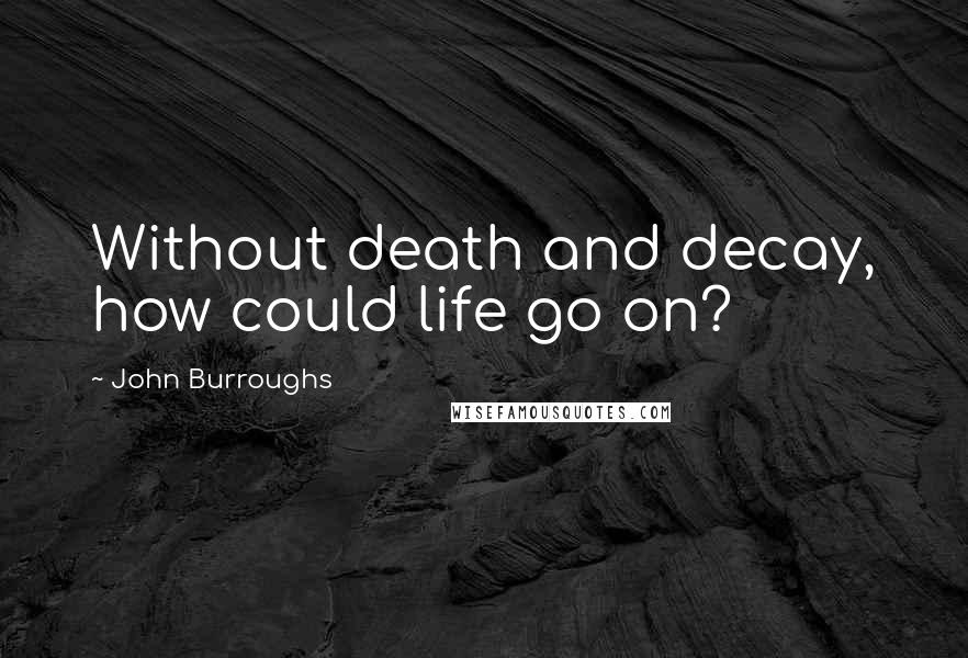 John Burroughs Quotes: Without death and decay, how could life go on?
