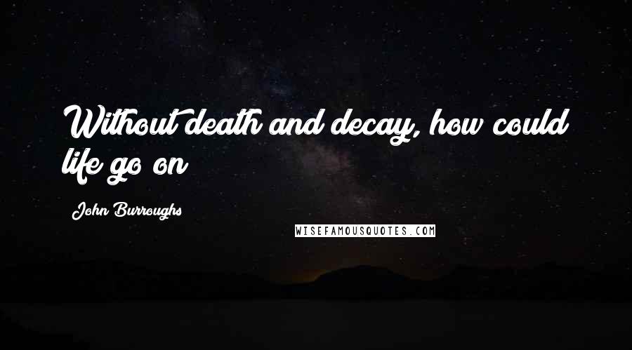 John Burroughs Quotes: Without death and decay, how could life go on?