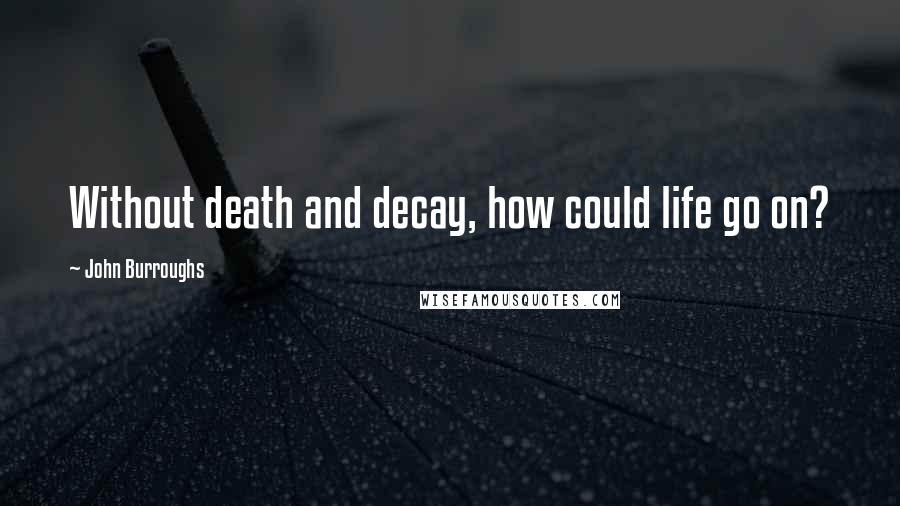 John Burroughs Quotes: Without death and decay, how could life go on?