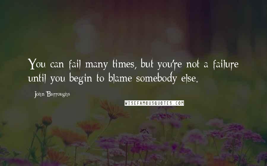 John Burroughs Quotes: You can fail many times, but you're not a failure until you begin to blame somebody else.
