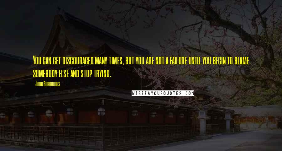 John Burroughs Quotes: You can get discouraged many times, but you are not a failure until you begin to blame somebody else and stop trying.