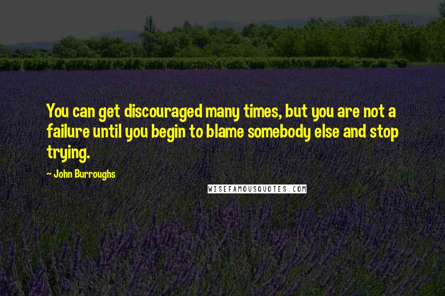 John Burroughs Quotes: You can get discouraged many times, but you are not a failure until you begin to blame somebody else and stop trying.
