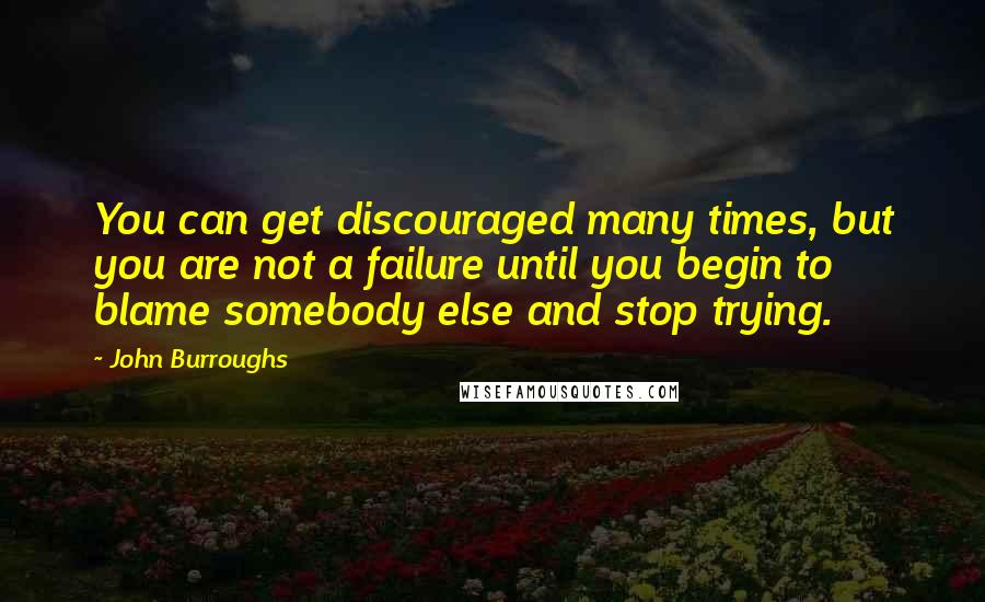 John Burroughs Quotes: You can get discouraged many times, but you are not a failure until you begin to blame somebody else and stop trying.