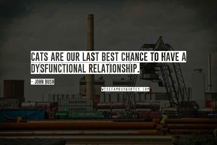 John Bush Quotes: Cats are our last best chance to have a dysfunctional relationship.
