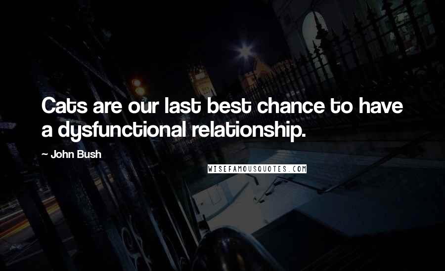 John Bush Quotes: Cats are our last best chance to have a dysfunctional relationship.
