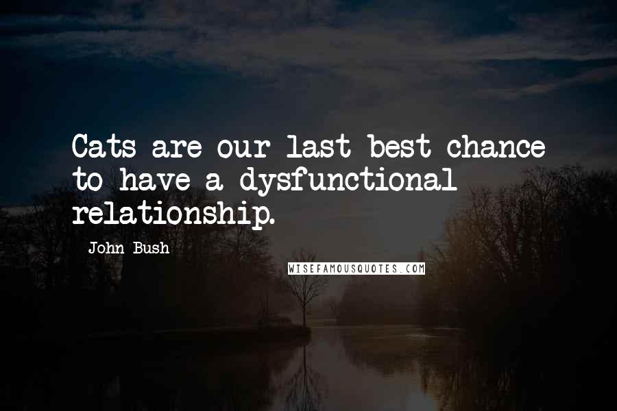 John Bush Quotes: Cats are our last best chance to have a dysfunctional relationship.