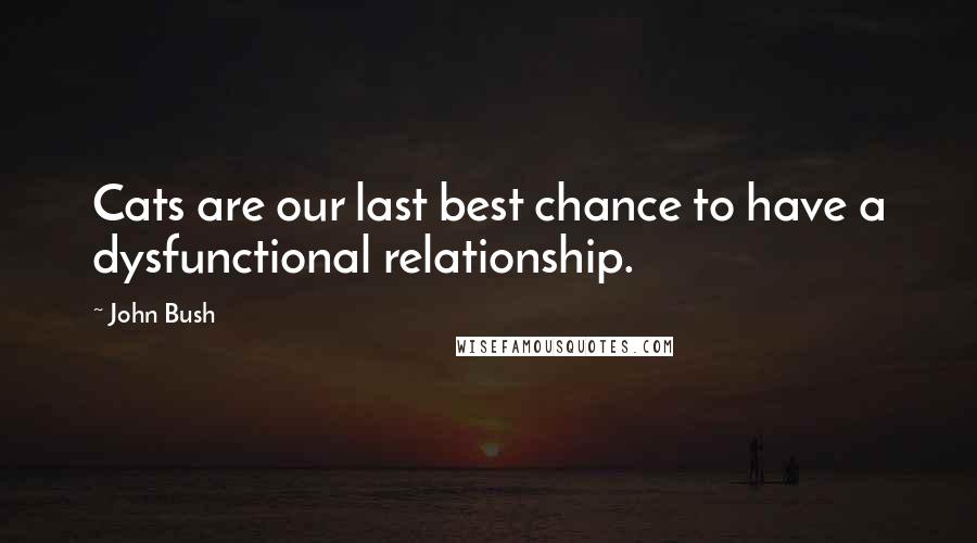 John Bush Quotes: Cats are our last best chance to have a dysfunctional relationship.