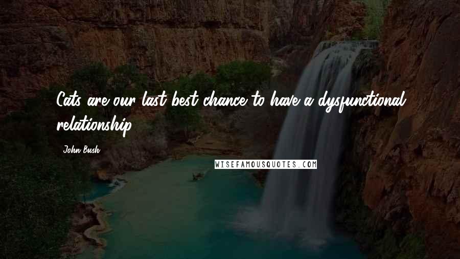 John Bush Quotes: Cats are our last best chance to have a dysfunctional relationship.