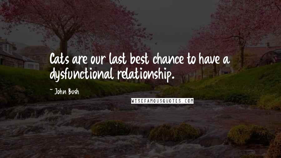 John Bush Quotes: Cats are our last best chance to have a dysfunctional relationship.