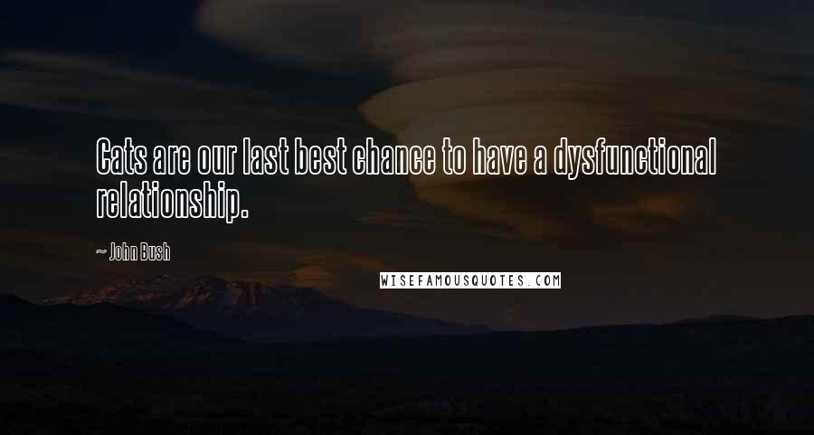 John Bush Quotes: Cats are our last best chance to have a dysfunctional relationship.