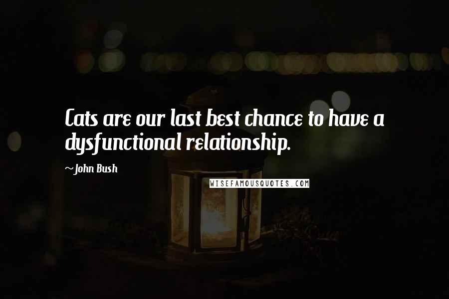 John Bush Quotes: Cats are our last best chance to have a dysfunctional relationship.