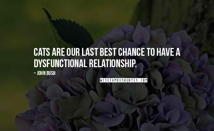 John Bush Quotes: Cats are our last best chance to have a dysfunctional relationship.
