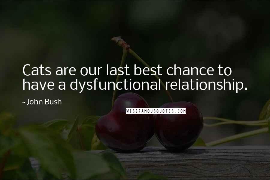 John Bush Quotes: Cats are our last best chance to have a dysfunctional relationship.