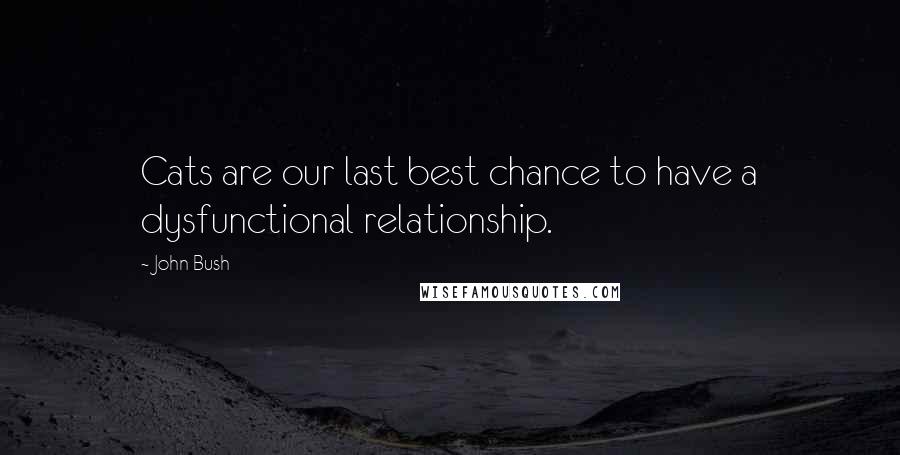 John Bush Quotes: Cats are our last best chance to have a dysfunctional relationship.