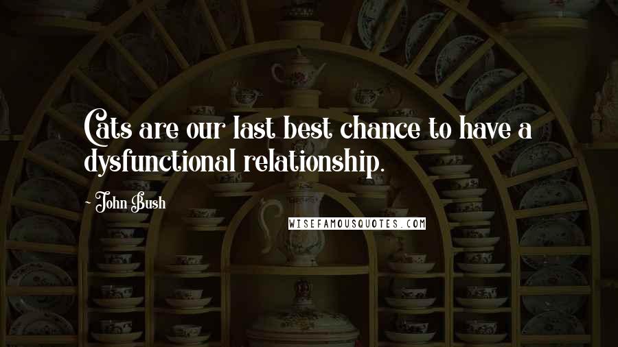 John Bush Quotes: Cats are our last best chance to have a dysfunctional relationship.