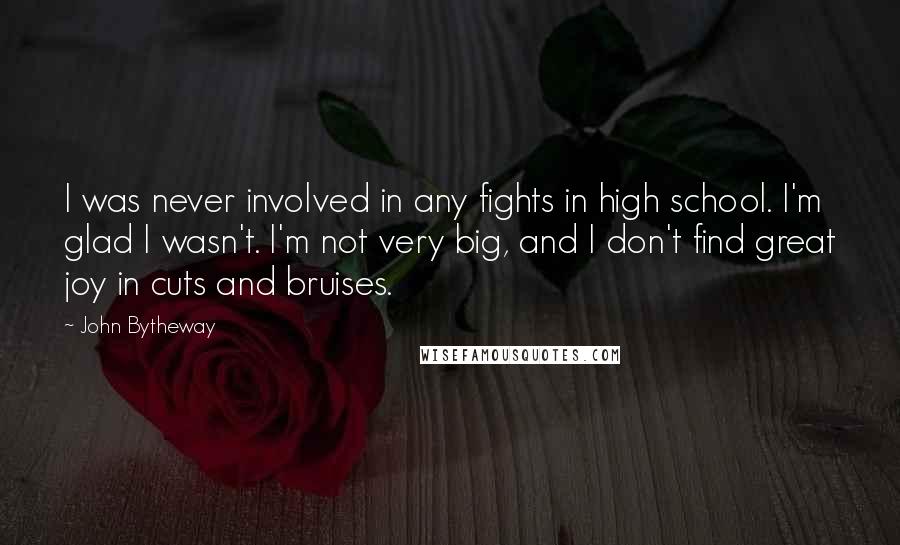 John Bytheway Quotes: I was never involved in any fights in high school. I'm glad I wasn't. I'm not very big, and I don't find great joy in cuts and bruises.