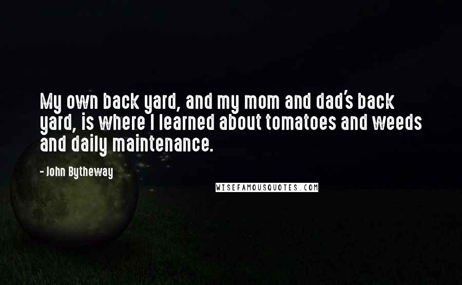 John Bytheway Quotes: My own back yard, and my mom and dad's back yard, is where I learned about tomatoes and weeds and daily maintenance.