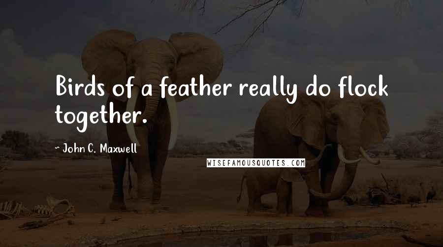 John C. Maxwell Quotes: Birds of a feather really do flock together.
